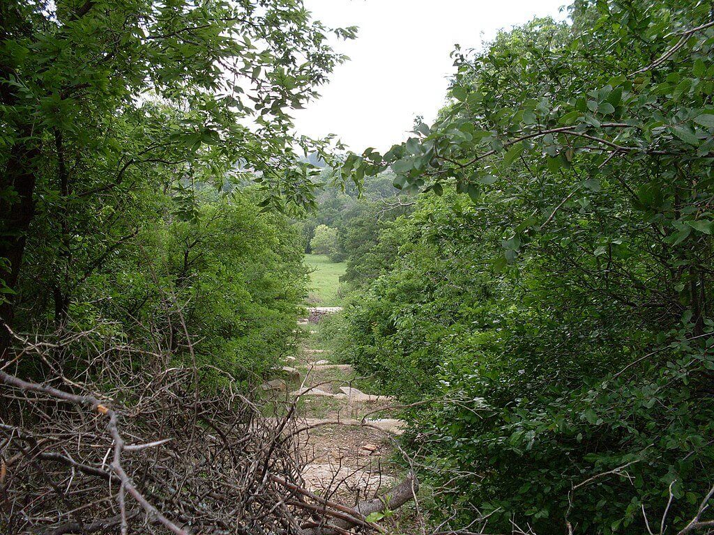 Arbor Hills Nature Preserve
